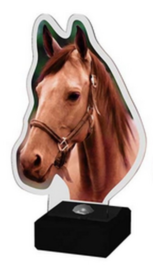 Paardenhoofd Acryl ST-PA001 LAATSTE OP=OP!!